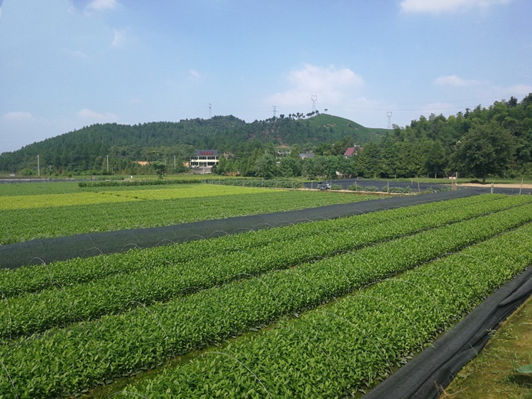 1_缩小大小.jpg