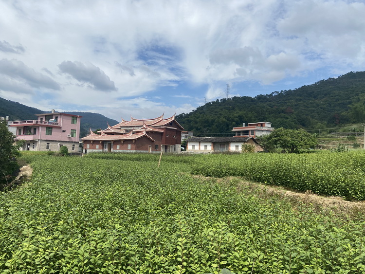 2_缩小大小.jpg